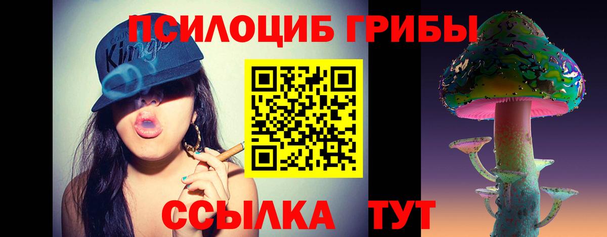 Галлюциногенные грибы Psilocybine cubensis Магнитогорск
